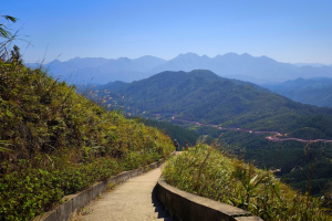 Binh-Lieu-1