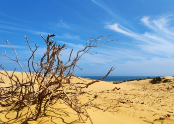 Vũng cát cô đơn