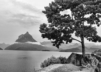 Bồng bềnh thủy mặc