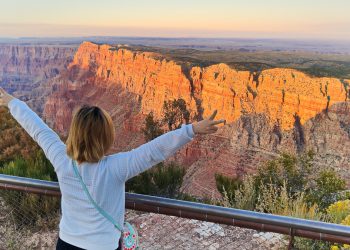 Người Việt lãng du