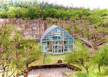 Bảo tháp trong cồn cát